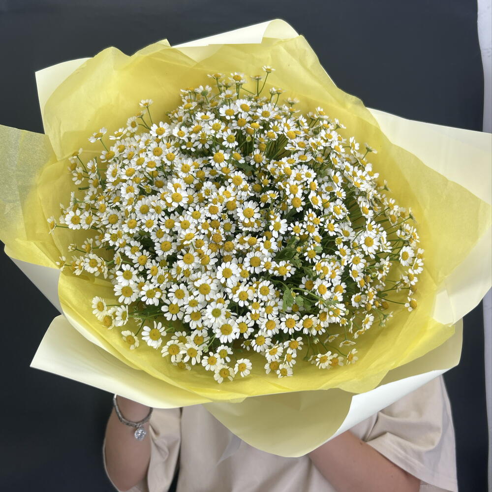 Ромашки дня