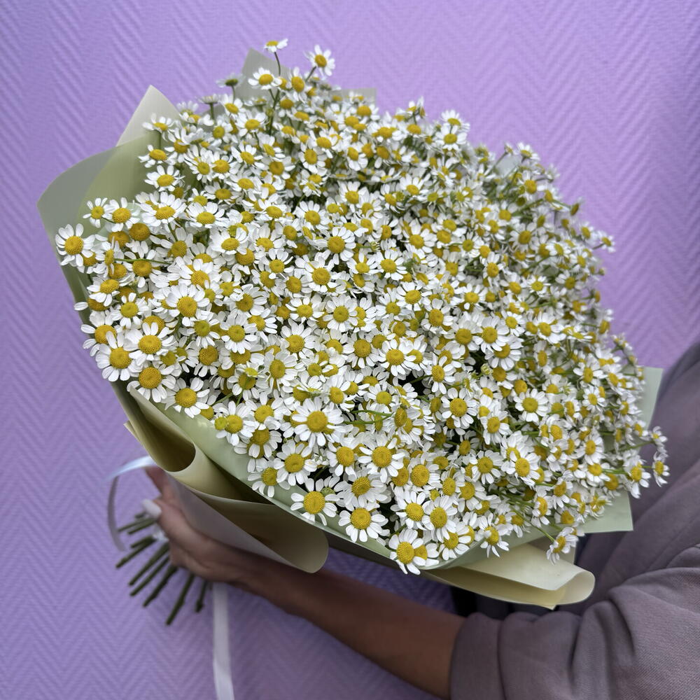 Ромашки кустовые 25 штук. Букет полевых цветов для девушки ♥️ на День рождение 🤩