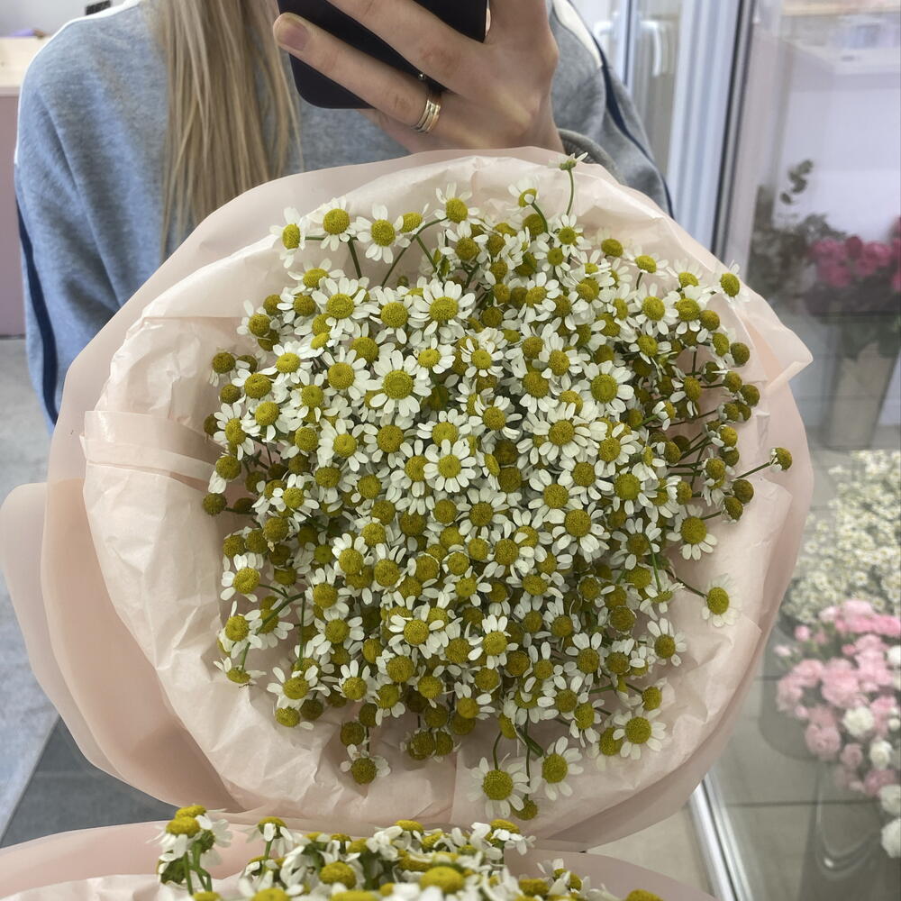 🌼Букет ромашек🌼