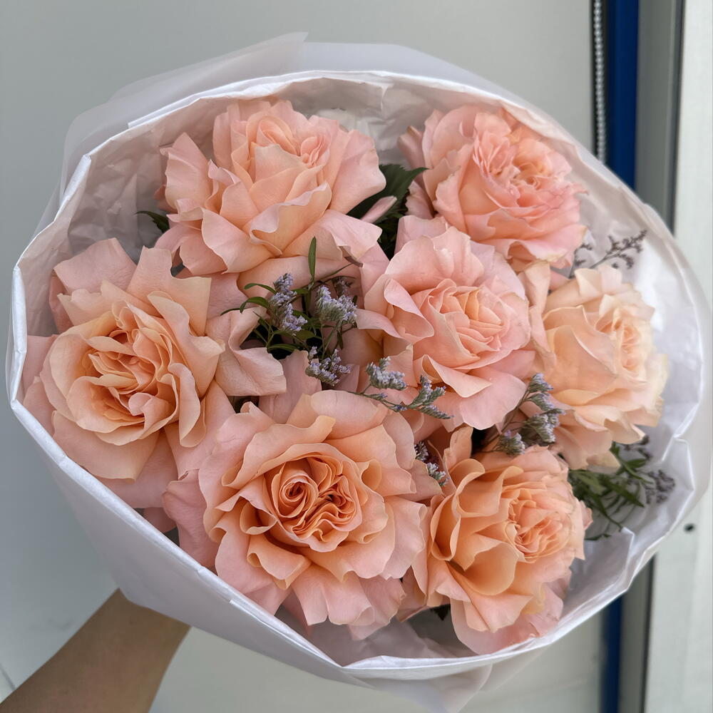 Розы 🌹