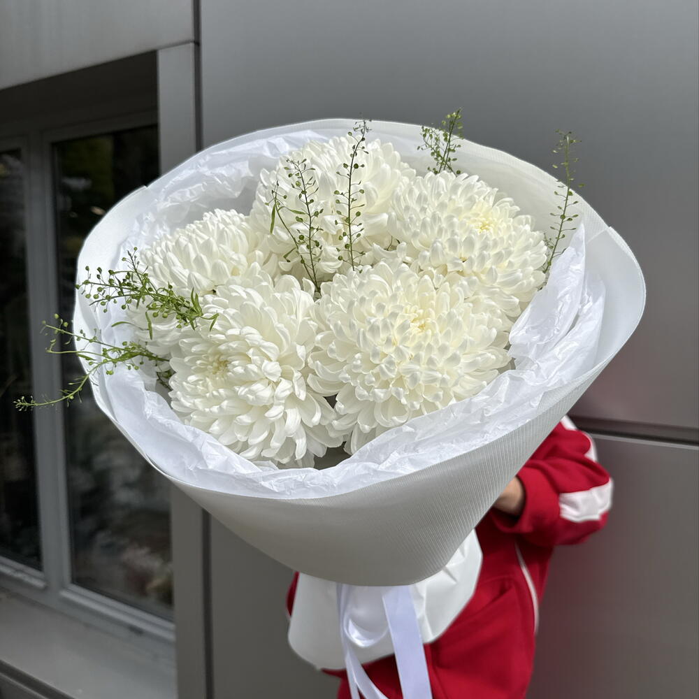 Хризантемы белые «Облако»💐