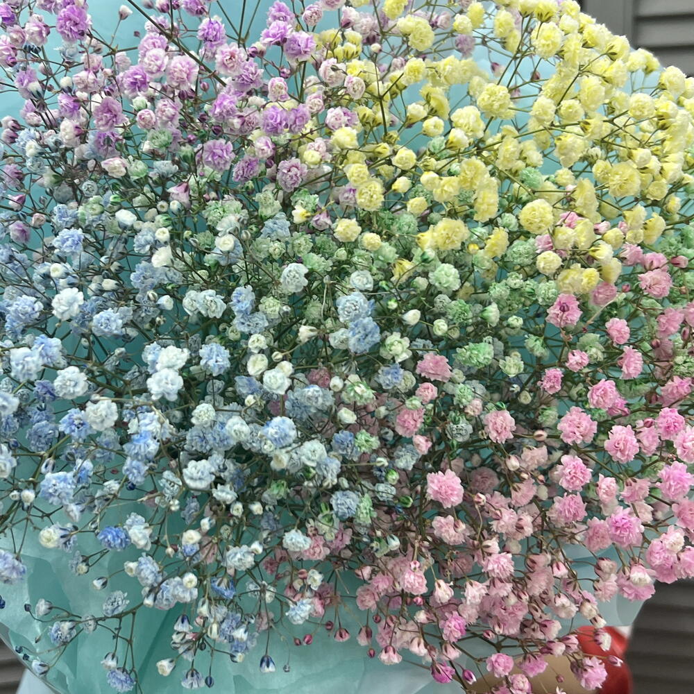 Букет из гипсофилы 🌈
