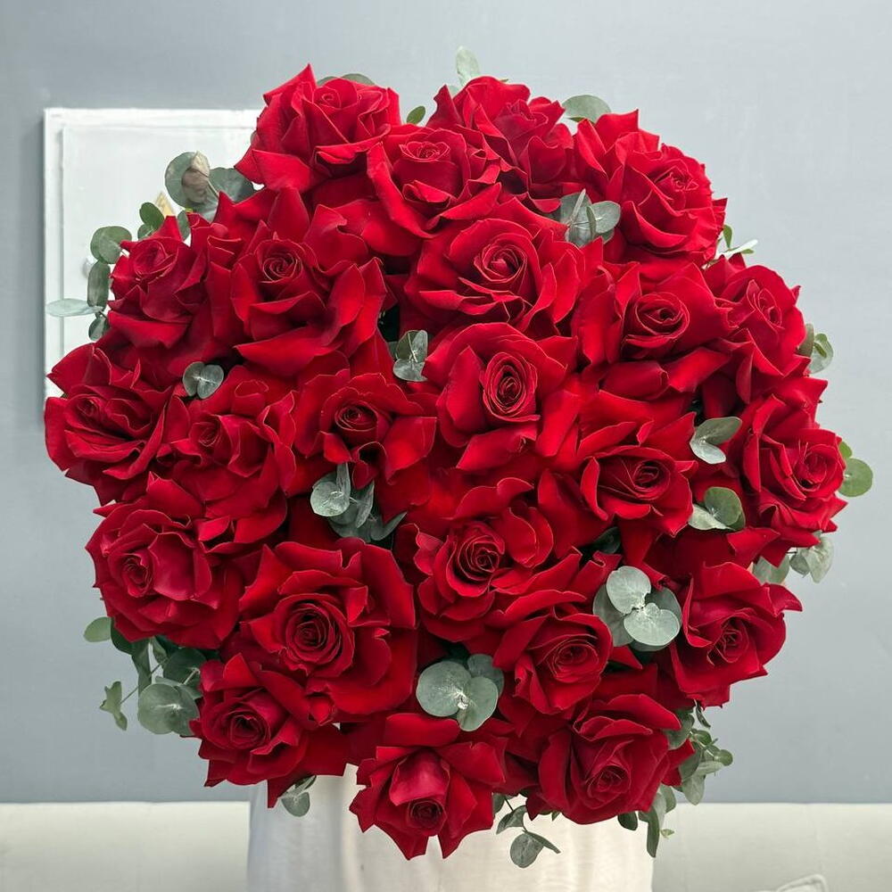 Maison Red Roses