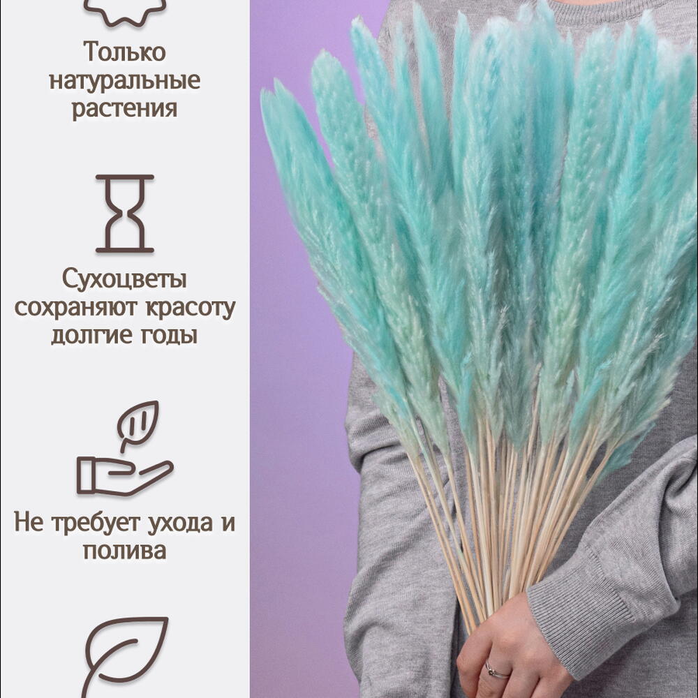 Пампас мини светло-бирюзовый 45 шт. Высший сорт М273