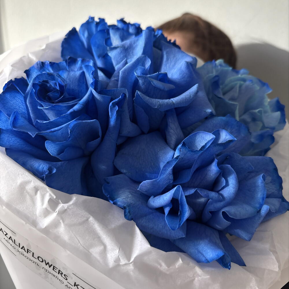 Синяя страсть🌸