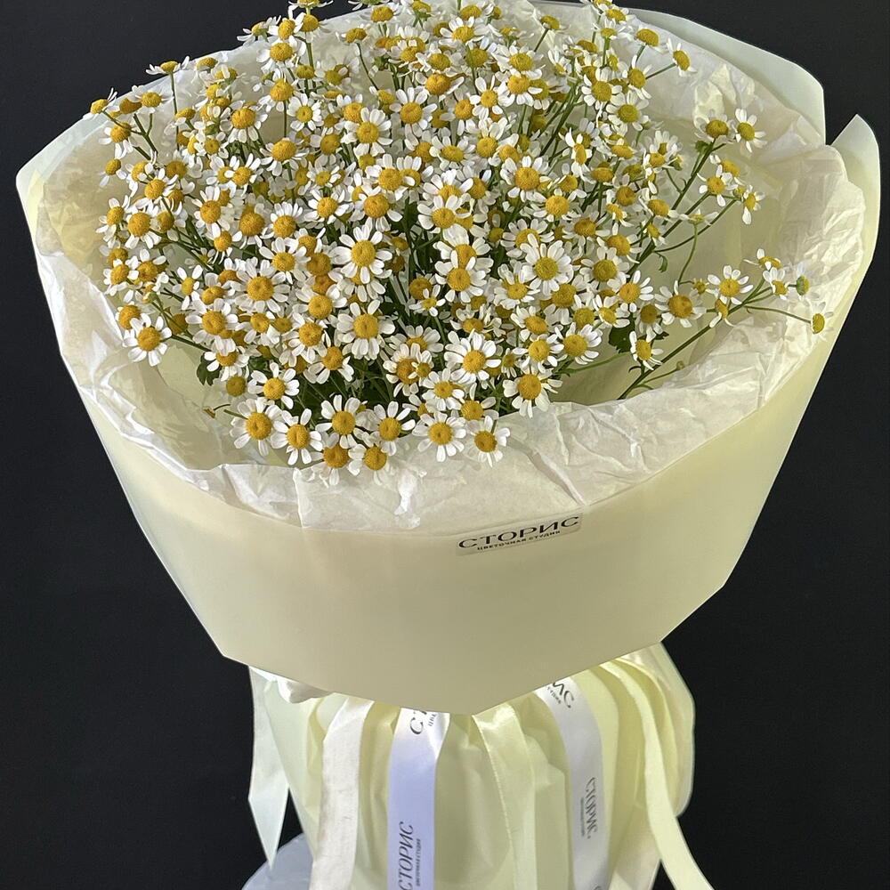 Мини ромашки