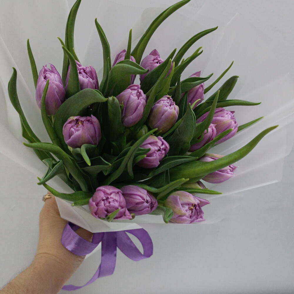 🌷Тюльпаны