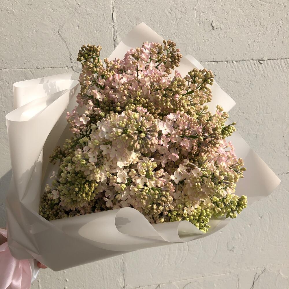 Lilac