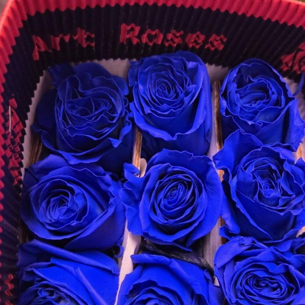 🔵роза