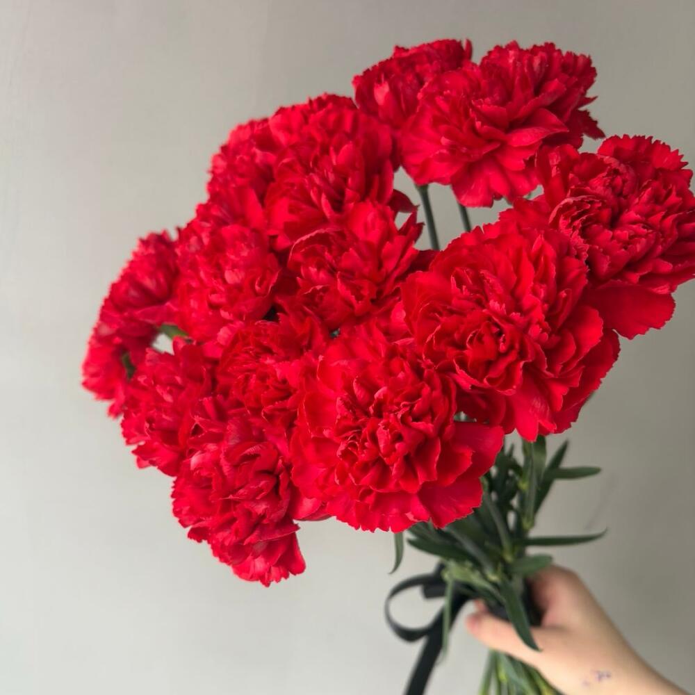 Букет из 20 красных гвоздик