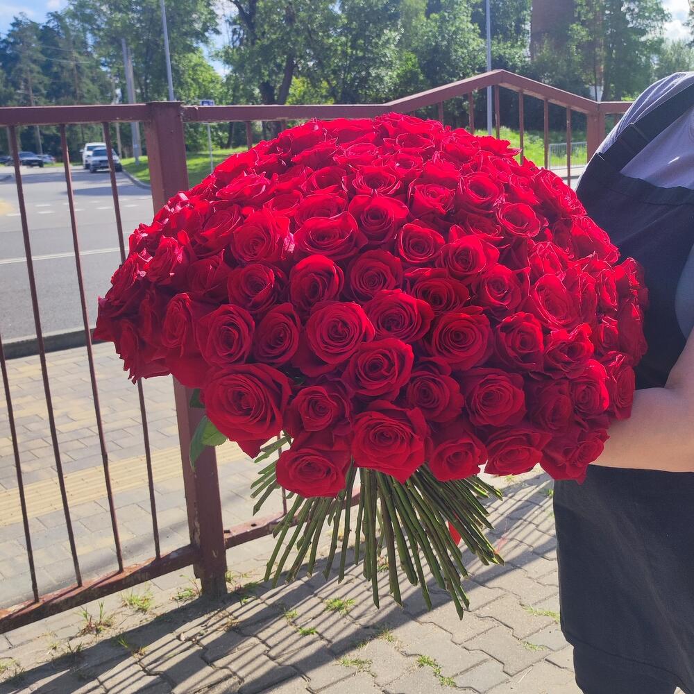 101 красная роза