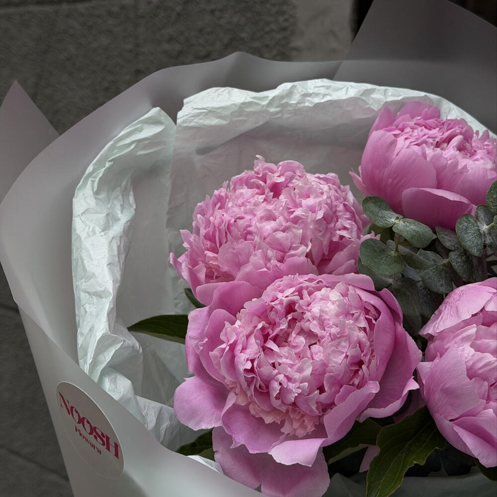Pink Peonies (5)