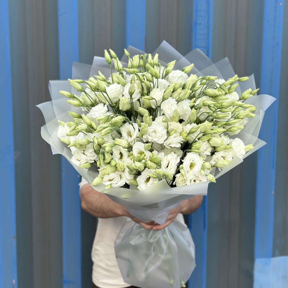 19 белых сезонных эустом