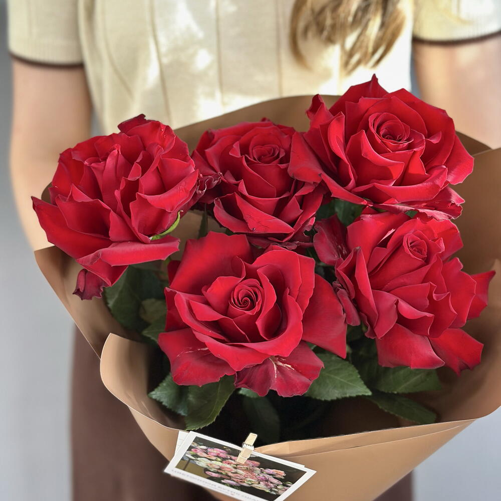 Моно розы 🌹