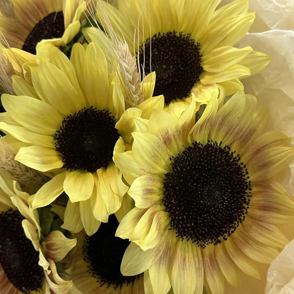 Букет "Солнышко" с подсолнухами и пшеницей🌻