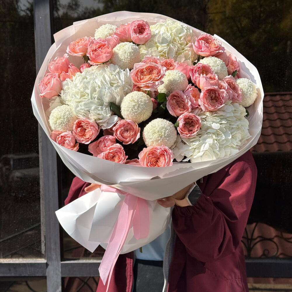 Peachy Hydrangea