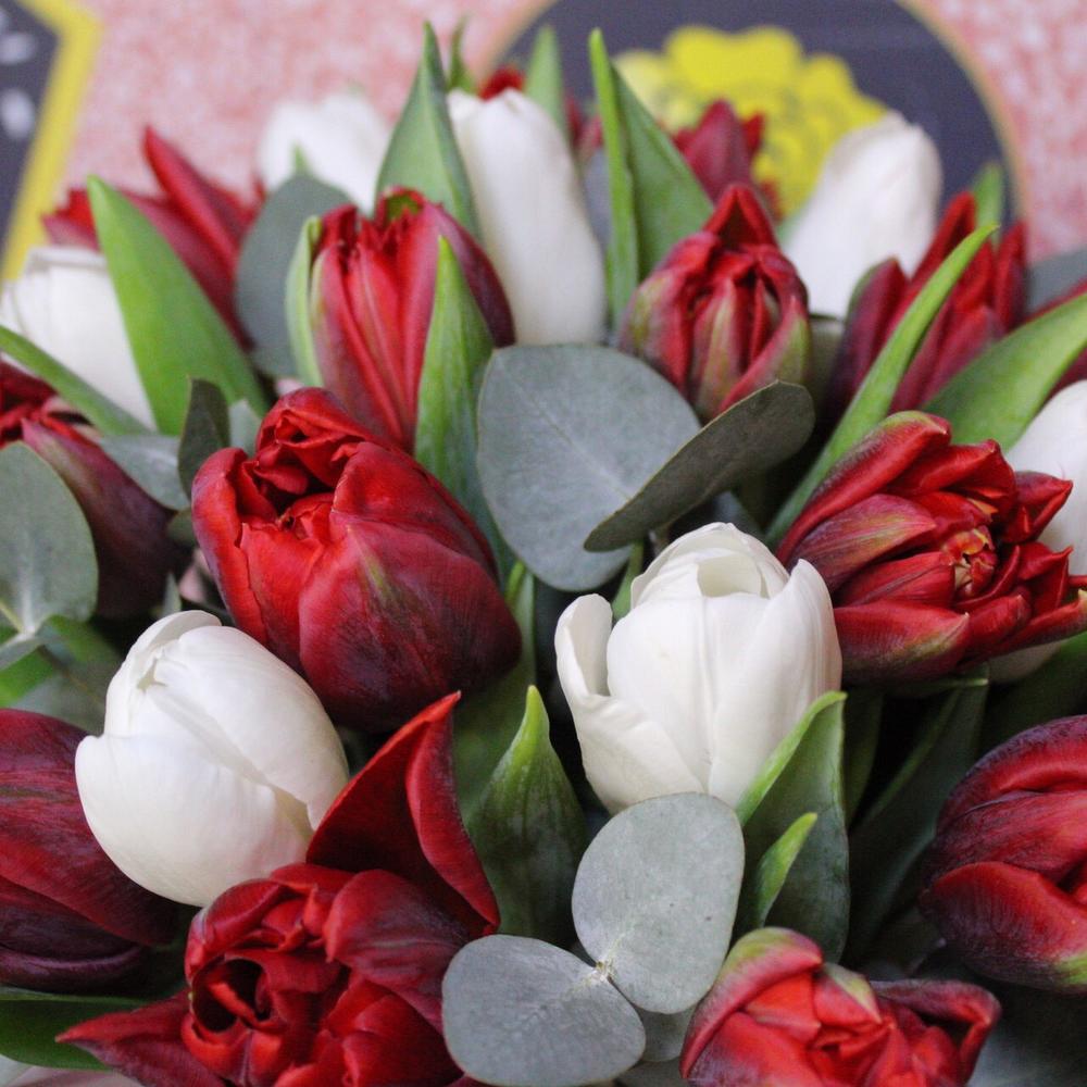 25 tulips in a box