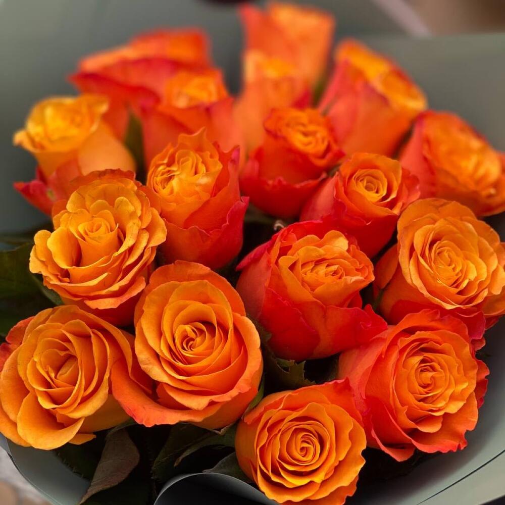 Orange flowers