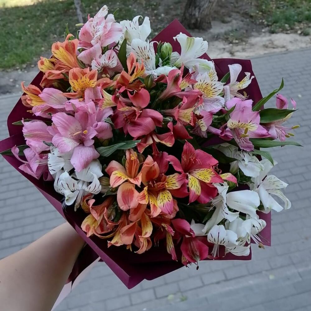 Микс красивой альстромерии