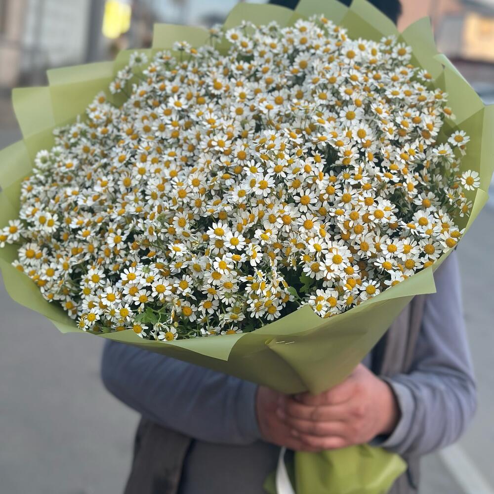 Ромашки