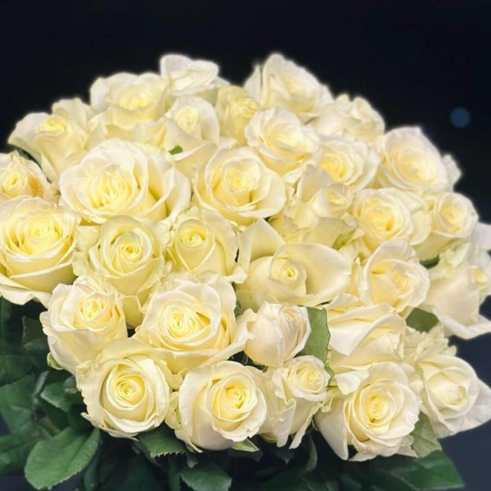 Rose bianche di lusso 31pcs 80cm