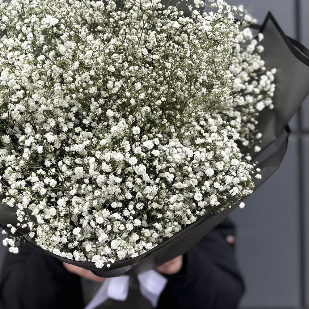 Gypsophila with registration