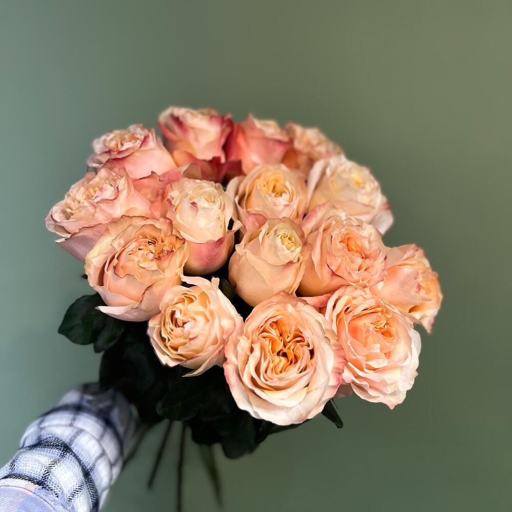 15 пионовидных роз Princess Crown