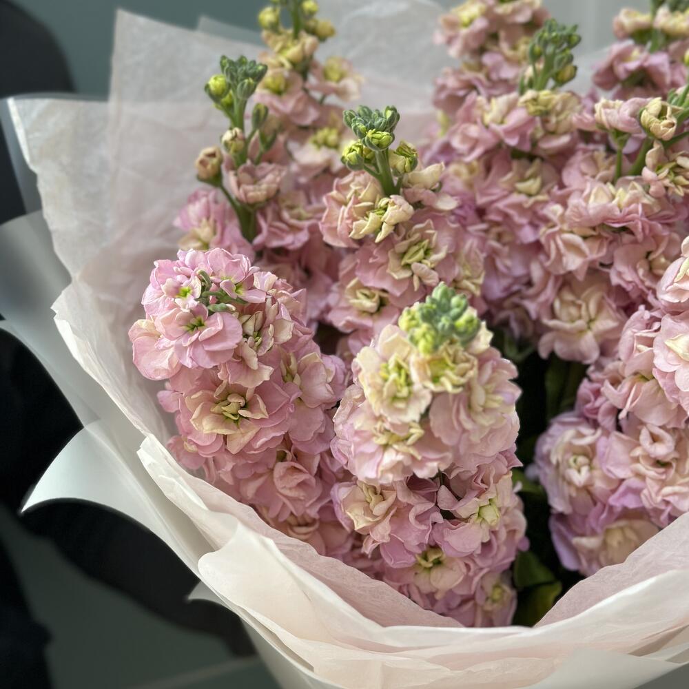 Букет персиковой маттиолы,11 шт
