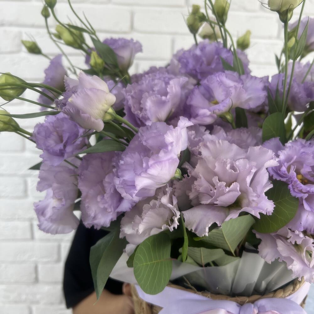 Planter «lilac breeze»