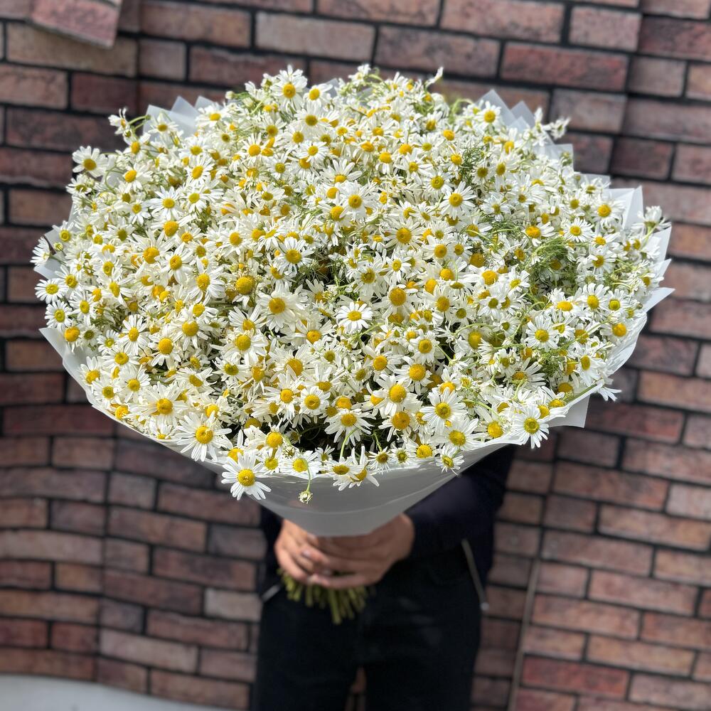 Ромашки