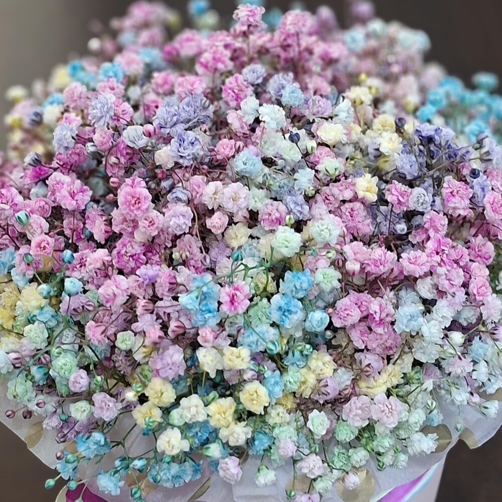Радужная гипсофила 🎊 ПРАЗДНИЧНАЯ 🎊