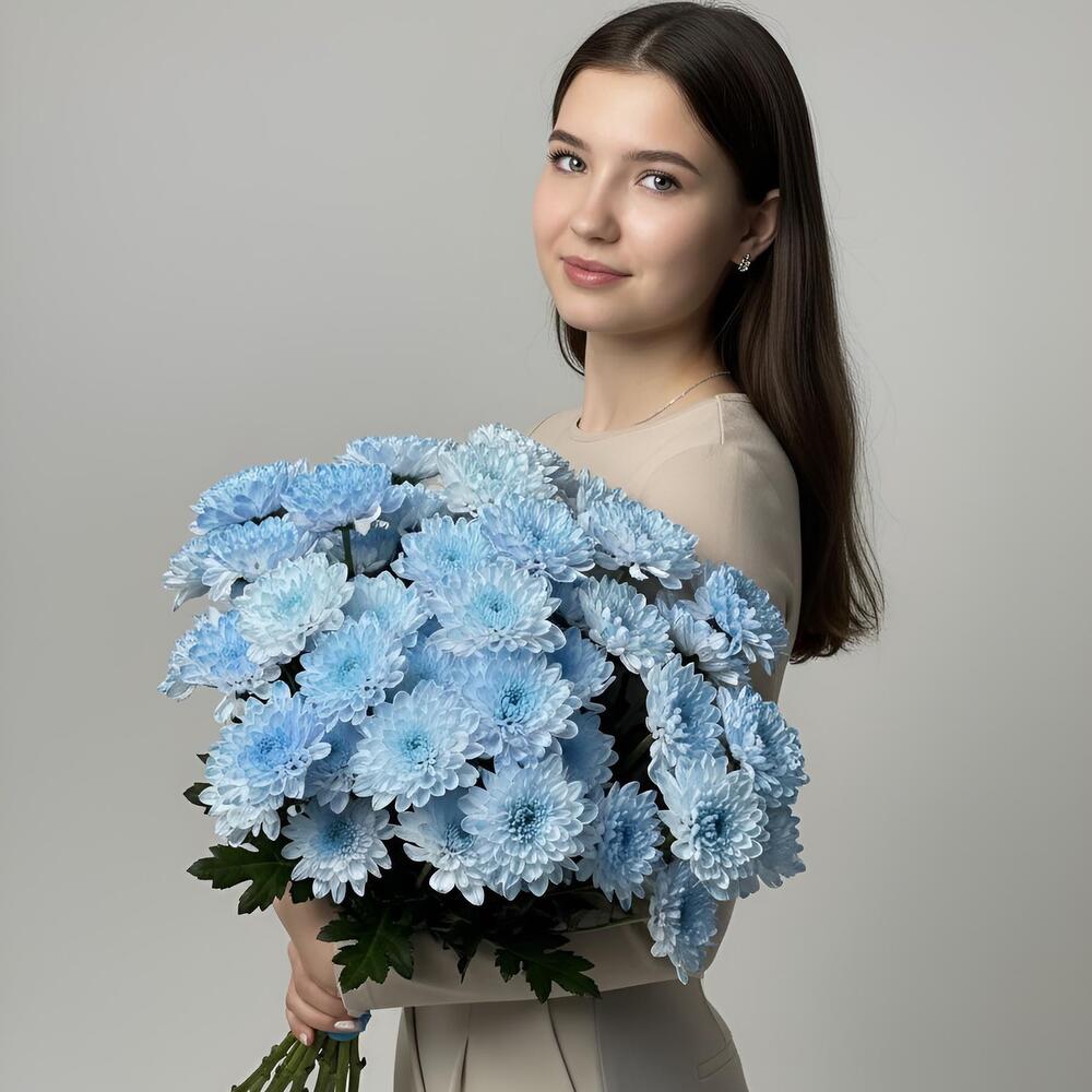 ОХАПКА из 7 хризантем голубых
