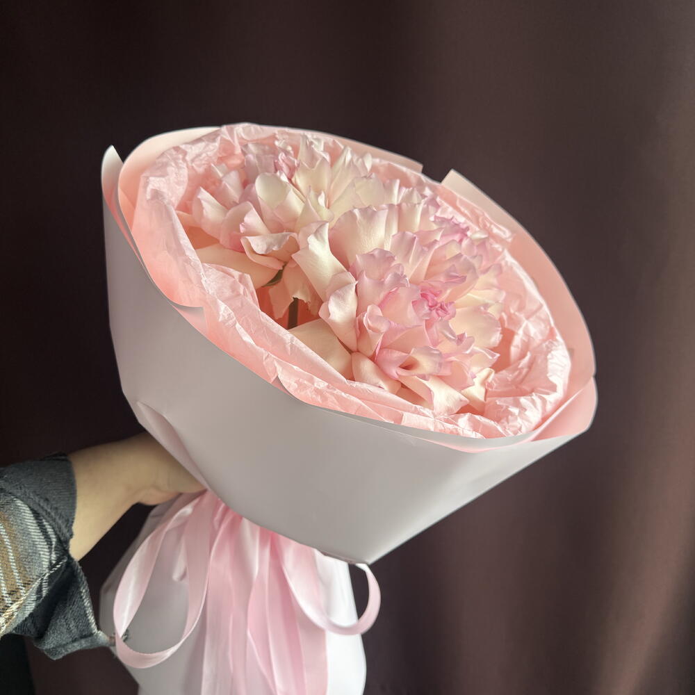 Розы комплимент 💘