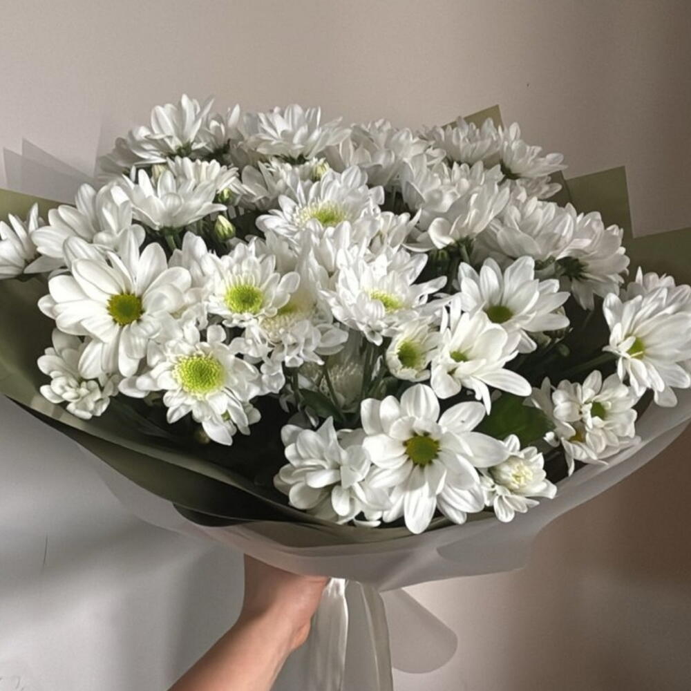 Нежные хризантемы