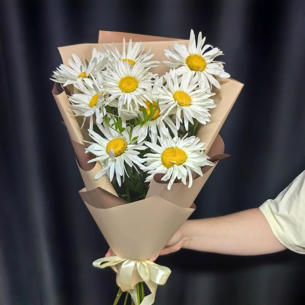 Букет из 9 ромашек (код 490)