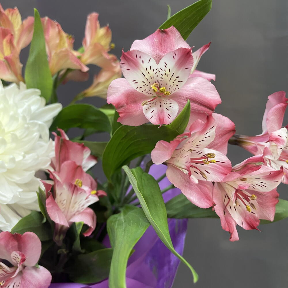 Букет 💐 комплимент