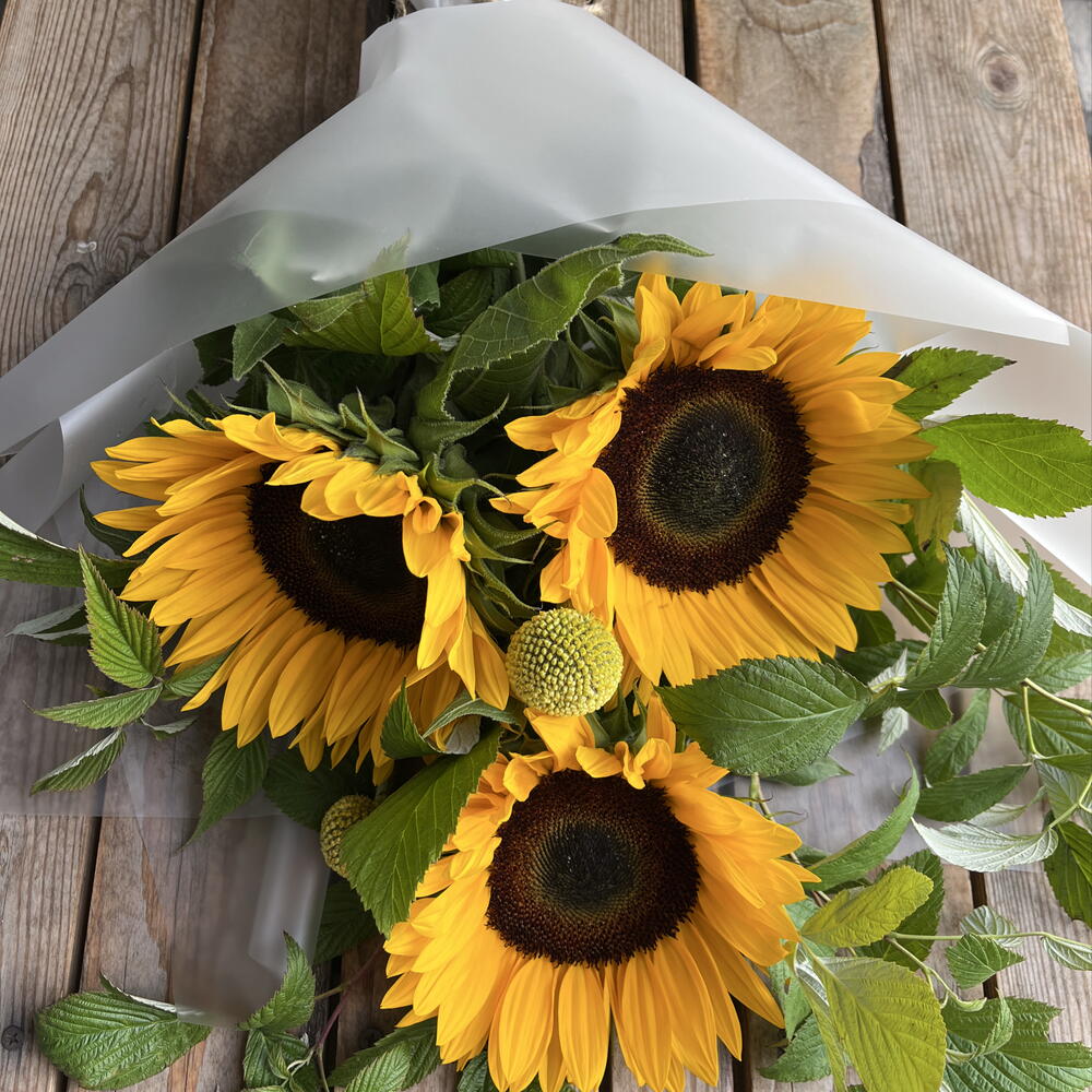 Букет солнечных подсолнухов 🌻