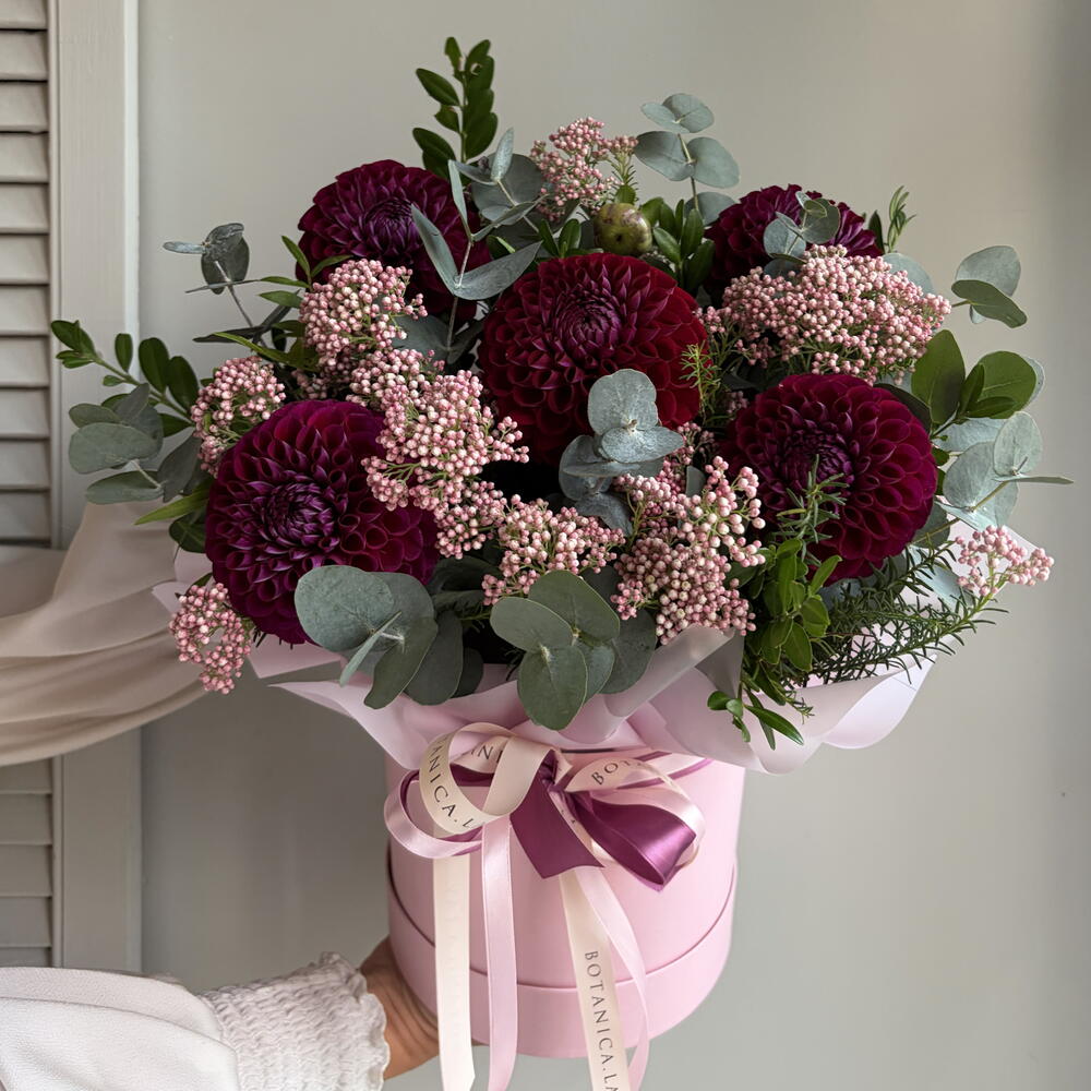 Георгины, Озотамнус и эвкалипт, композиция в подарочной коробке 💜