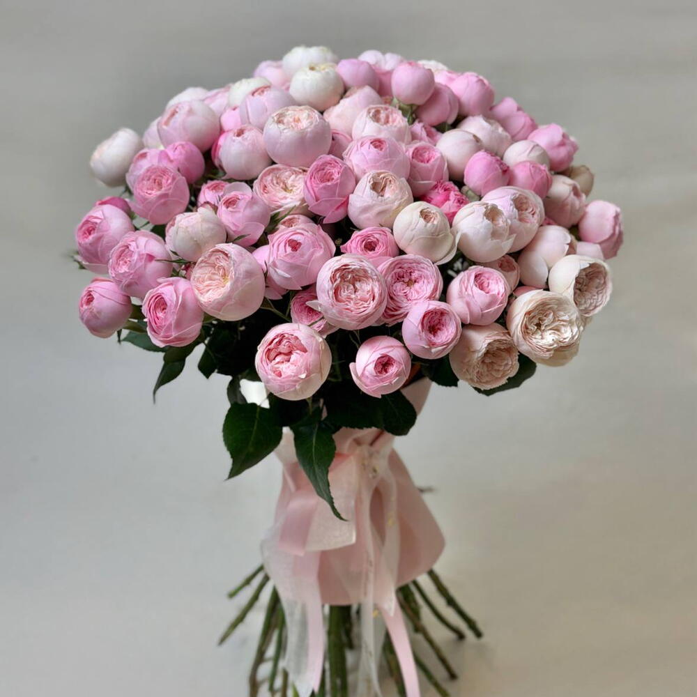 Kuppi roses 💗