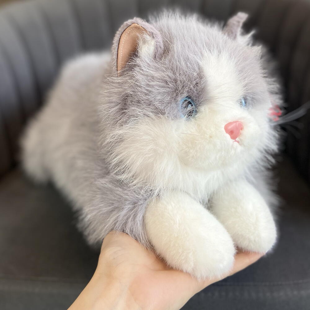 Поющий котик