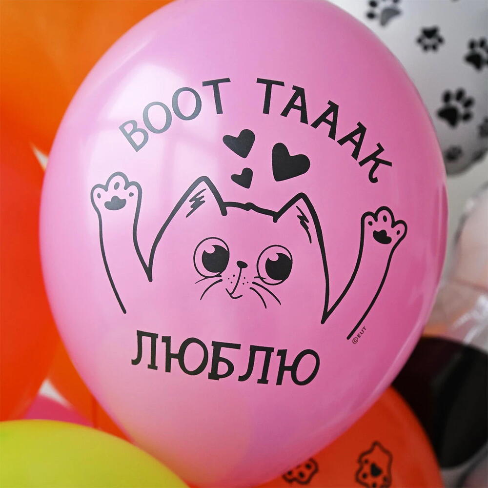 Шары набор Котики