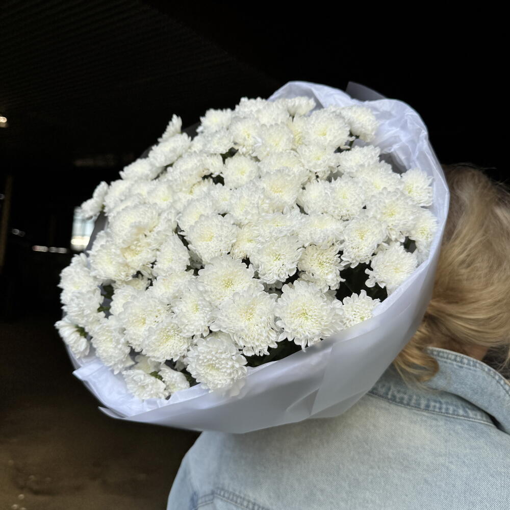 15 мини хризантем Помпон