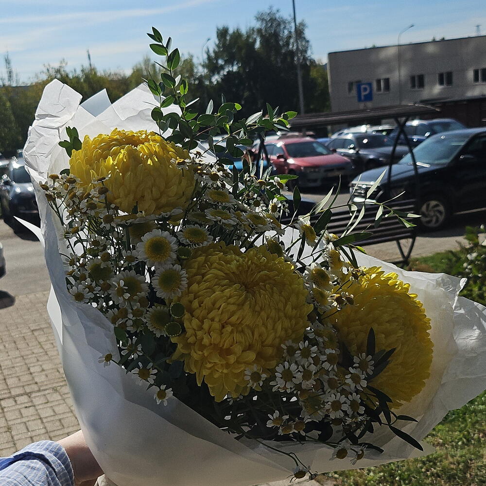 Полевой