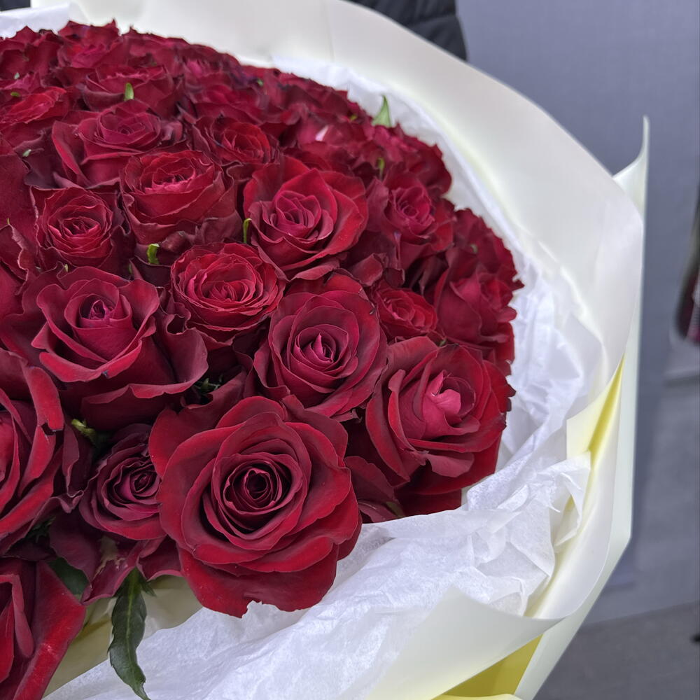 Шикарные красные Розы 🌹🤗