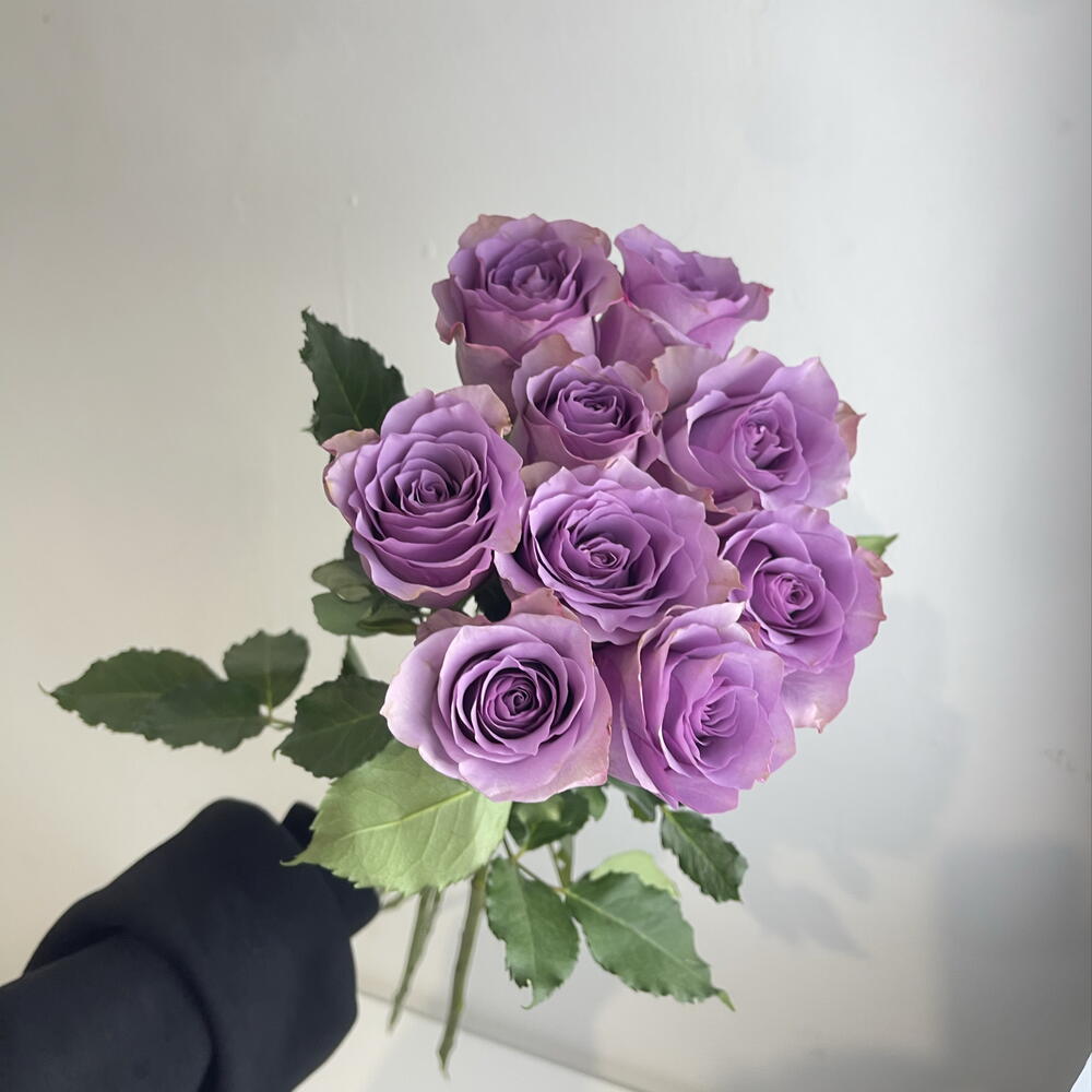 Розы фиолетовые 💜 9