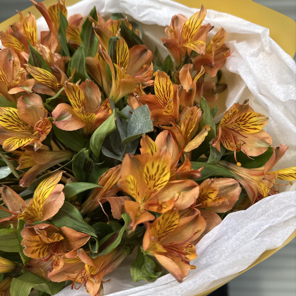Букет-комплимент 🍊из апельсиновых альстромерий