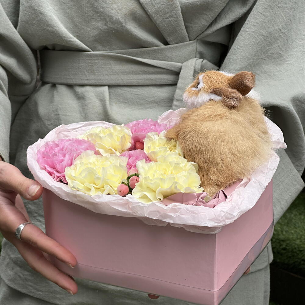 Банни