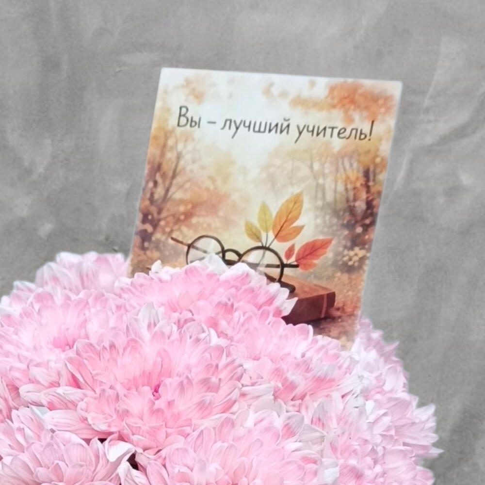 Комплимент учителю