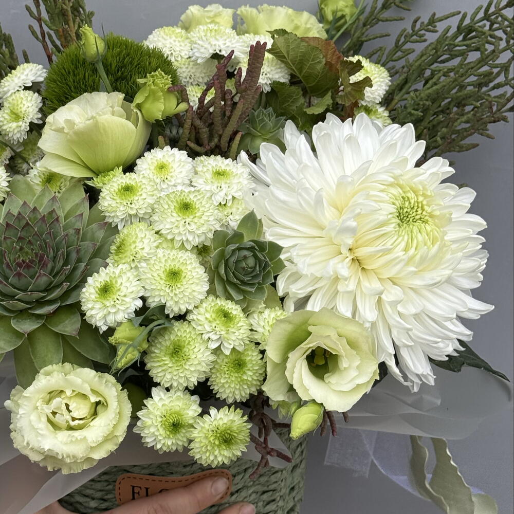 Корзина с суккулентом 🌱