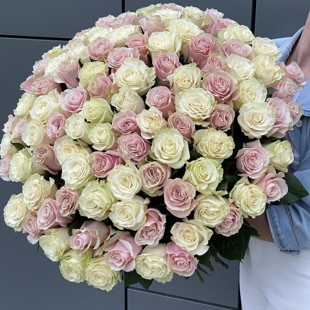 Bouquet of 101 white and pink roses